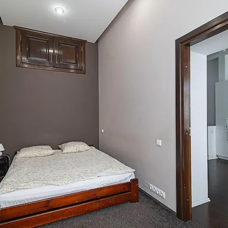 1 Bedroom In Old Town With Free Parking Вильнюс