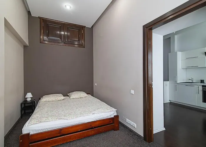 1 Bedroom In Old Town With Free Parking Wilna